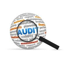 Audit 2